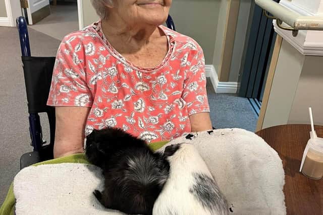 Brampton View Resident Enjoying Animal Therapy 