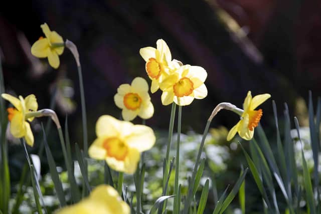 Warmer weather is on the way.