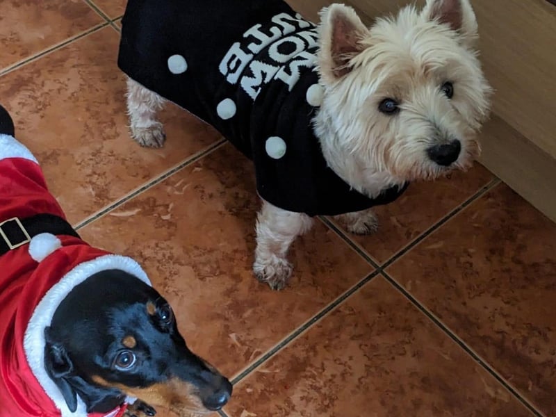 Bobby and Theo pictured.