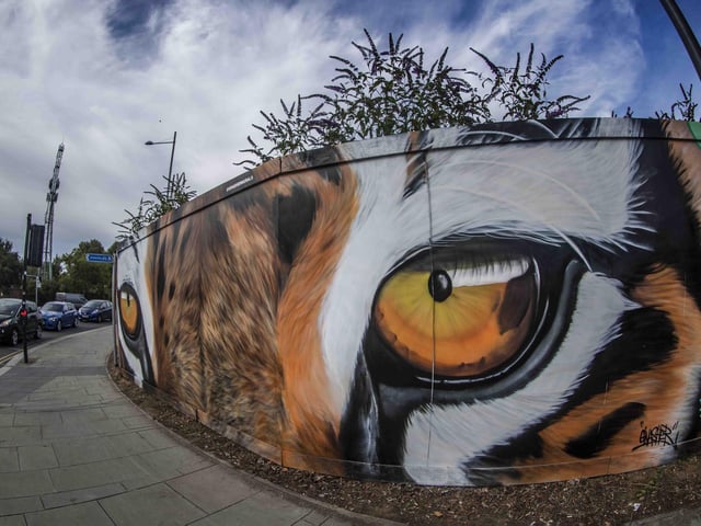 Some of the UK's top graffiti artists sprayed walls and boards in Sol Central, Green Street and St Peter’s Way with the intention to increase community pride and reduce crime