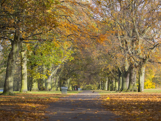 Abington Park needs no introduction. Every knows it's a great, central place to get some fresh air and clock up some steps. The length of the walk can vary - it can be a quick 20 minute stroll or it can be longer by taking different paths. However far you walk, The Park Cafe will be there for a hot drink and refreshment.