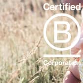 Reusable nappy brand Bambino Mio are a certified B Corp 