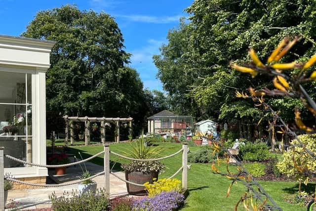 Pat's Garden