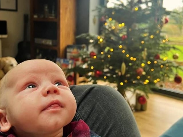 Six-week-old Rupert.