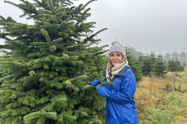 Nina Gandy of Cynthia Spencer Hospice launches the Christmas Tree Recycling Scheme