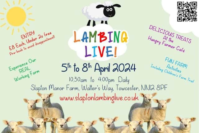All the details you need for the upcoming Lambing Live at Slapton Manor Farm event, from April 5 to 8.