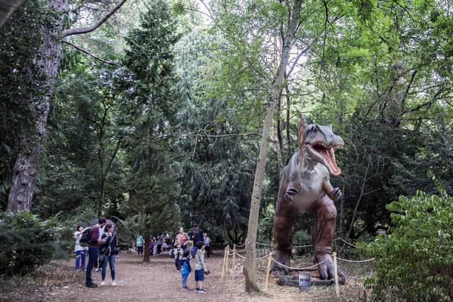 Dinosaurs will be back at Delapre Abbey from next week.