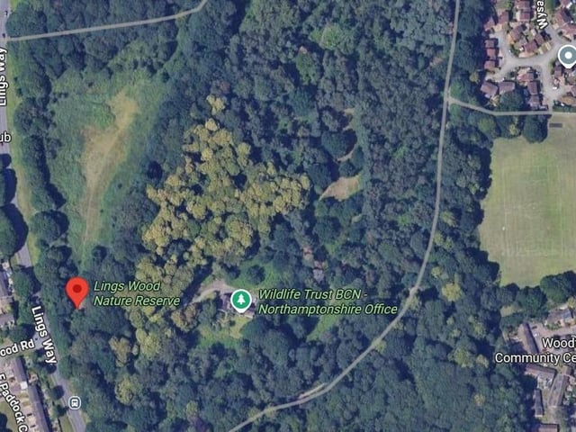 Lings Wood Nature Reserve received 4.3 stars in Google reviews with one saying "excellent combination of wood and park providing both shade and room for ball play for dogs. About 3 .5 miles and an hour around the perimeter".