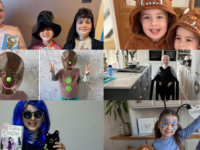 Some of the amazing costumes in Northampton for World Book Day 2025...