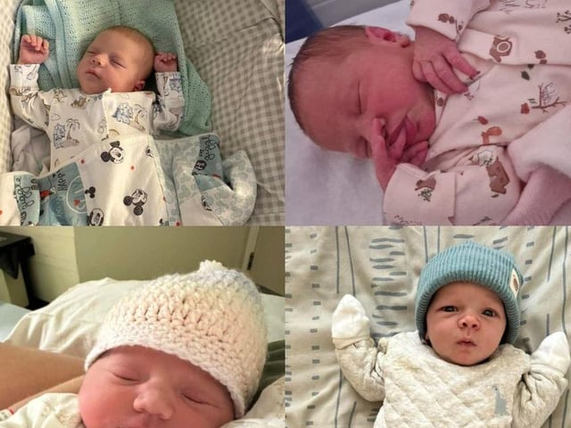 Some of the babies born in town last month.