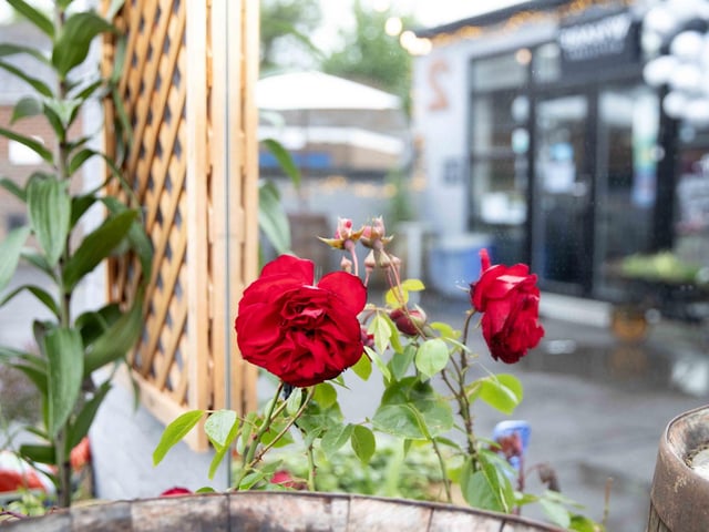 The cocktail and wine bar is set to open to the public on Saturday (June 15), offering quirky and handcrafted drinks to the community.
