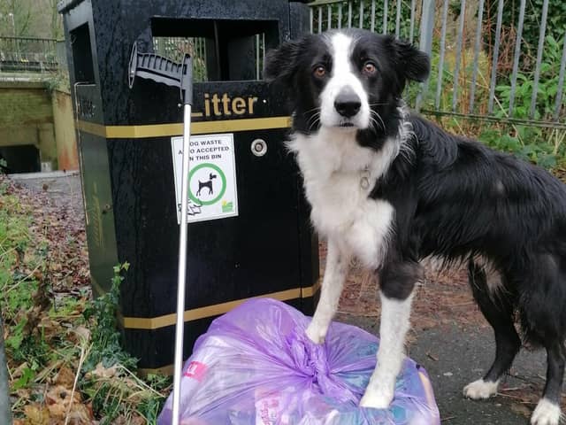 Monica De Bokx's dog Bodhi often joins her on litter picks around the town with the Daventry Litter Wombles.