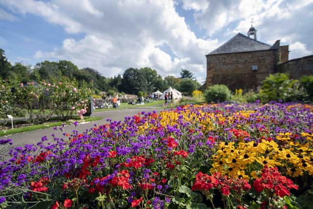 There is hope the festival will become an annual event in the town. Photo: Kirsty Edmonds.