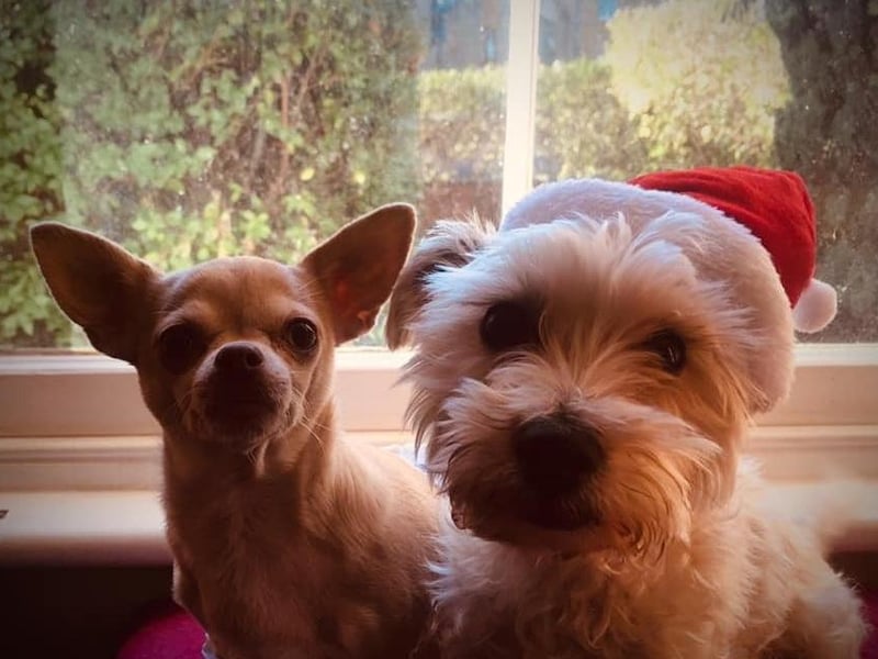 Norman and Dolly.