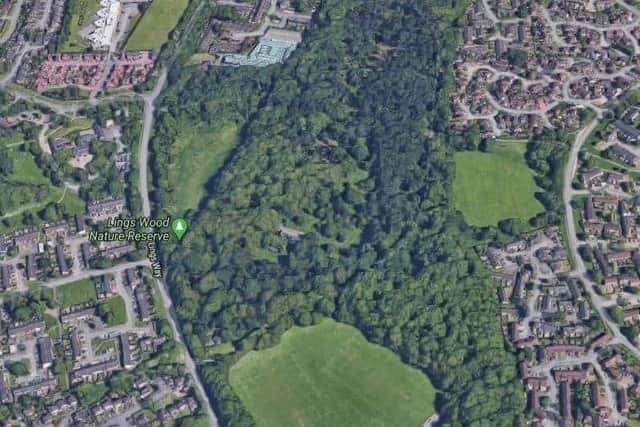 Mr Hincu was found in Lings Wood on May 4, 2020.