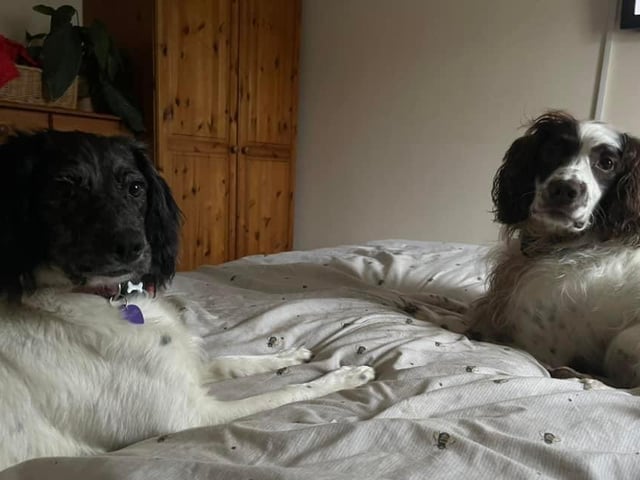 William and Ellie pictured.