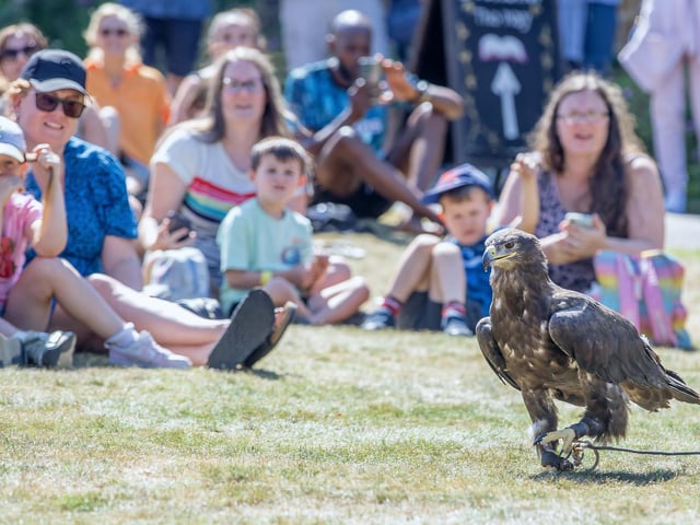 Families visited Delapre Abbey on Sunday August 17 to meet and learn about birds of prey.