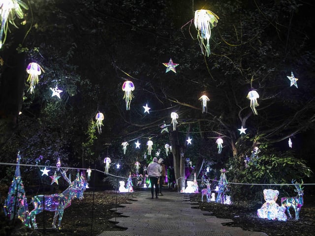 Take a look around the winter light trail, which is now open and will be until December 31.