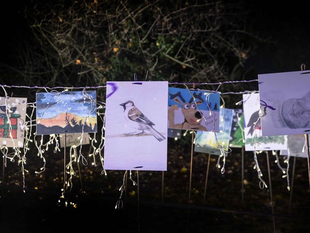 Take a look around the winter light trail, which is now open and will be until December 31.