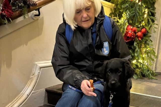 The guide dog puppies were introduced to Christmas decorations at Delapre Abbey as part of a familiarisation programme