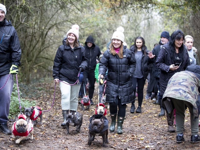 The French Bulldog Meet & Walk group’s Christmas walk at Hunsbury Hill Country Park on Sunday December 4, 2022.