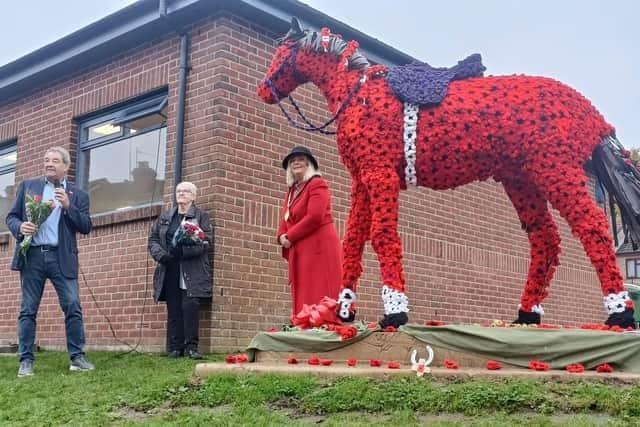 Around 10,000 poppies were created to bring 'Jim the War Horse' to life, after Woodford Halse Community Crafting was founded by Hilary Wintersgill more than 18 months ago. Photo: Jack Ingham.