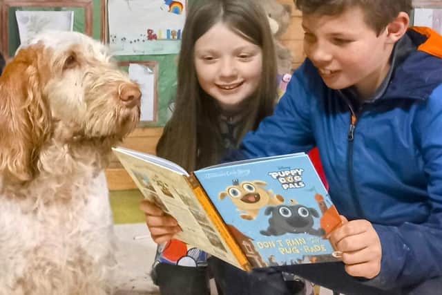 Therapy dog, Hero, listening to young people reading.