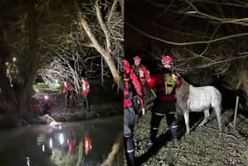 The horse was rescued by firefighters from a canal near Long Buckby.