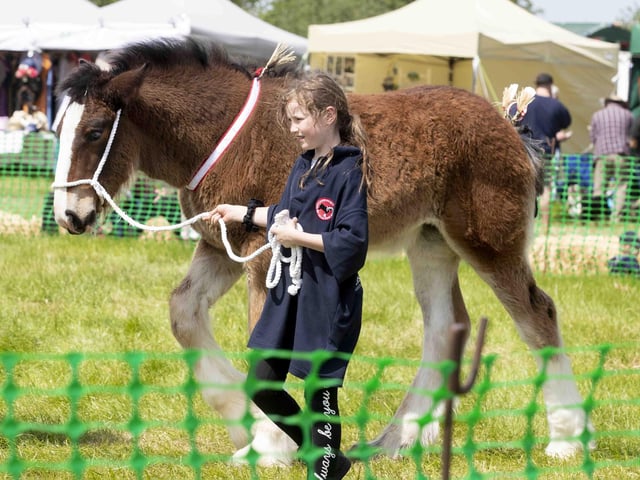 The event at Lamport Hall on May 28 and 29 was full of sunshine, smiles and something for the whole family.