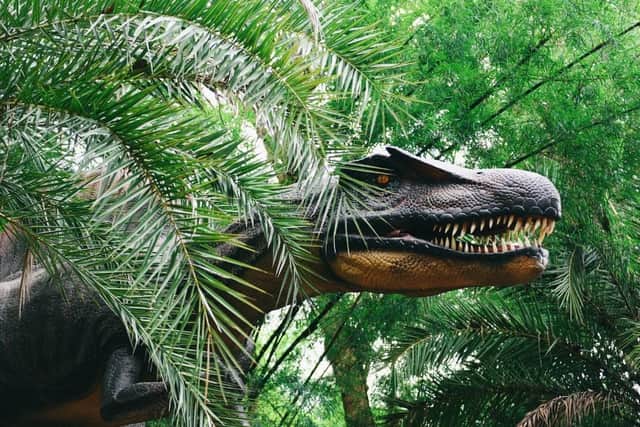 Dinosaurs will roam around Delapre Abbey later this year.