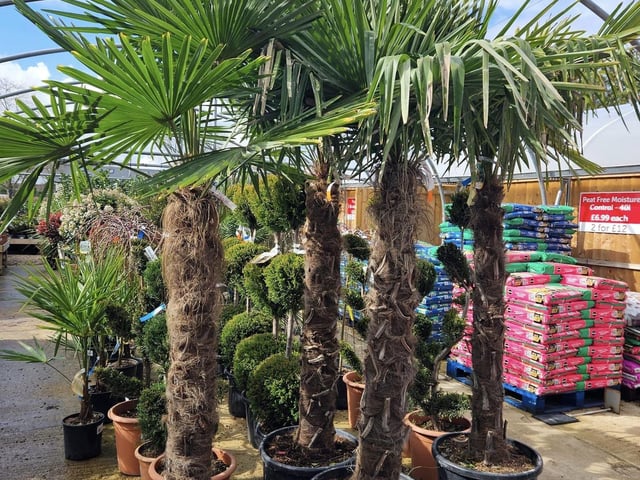 “Get the garden you love for less” - this centre in Barton Seagrave, rated on the whole 4.5, offers a variety of quality products from plants and trees to bird care and aggregate. Keep up to date on their new produce by following their Instagram page - @isegardencentreuk. “Prices and quality are outstanding”, one reviewer said.