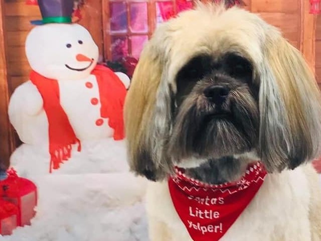 "My baby boy and bestie, KoKo!"