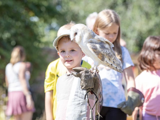 Families visited Delapre Abbey on Sunday August 17 to meet and learn about birds of prey.