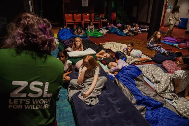 Children bedding down in the soft play areas. Picture: Whipsnade Zoo
