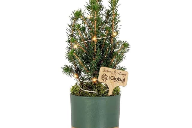 Mini Branded Christmas Tree