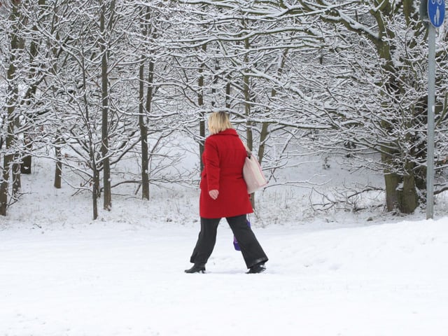 The Racecourse in January 2010