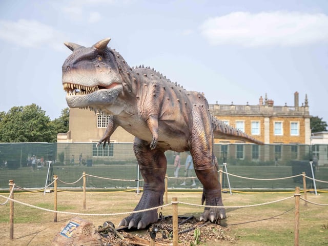 What to expect from the Dinosaurs in the Park event, which is at Delapre Abbey until Sunday September 1, 2024.