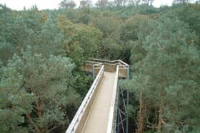 The Tree Top Walkway at Salcey Forest will not reopen. It will be demolished.