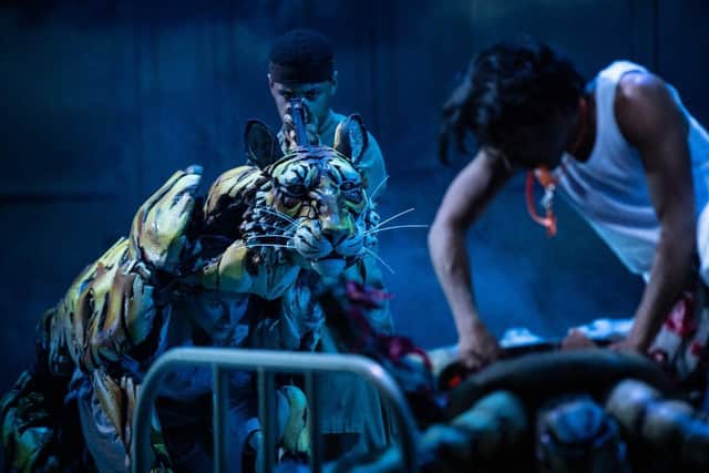 Life of Pi - Broadway production. Photography by Matthew Murphy and Evan Zimmerman for Murphy Made