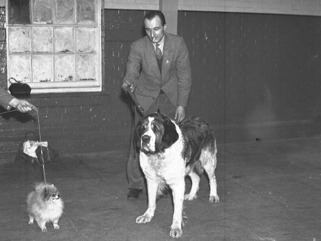 If you know any more information about this photograph, please email editor@northantsnews.co.uk