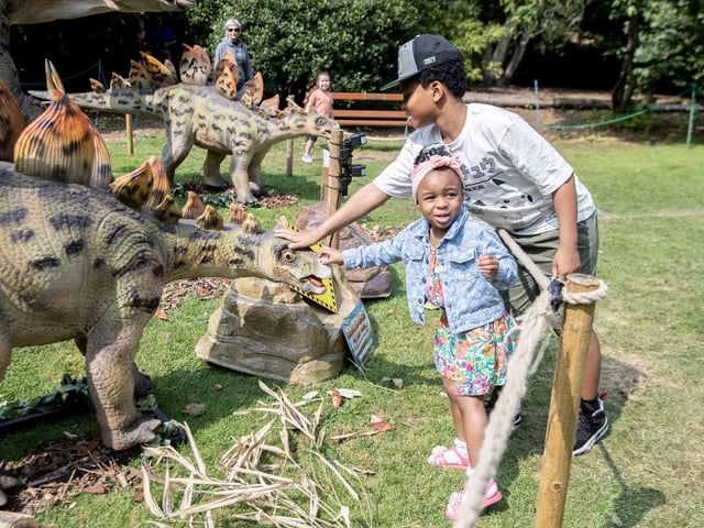 What to expect from the Dinosaurs in the Park event, which is at Delapre Abbey until Sunday September 1, 2024.