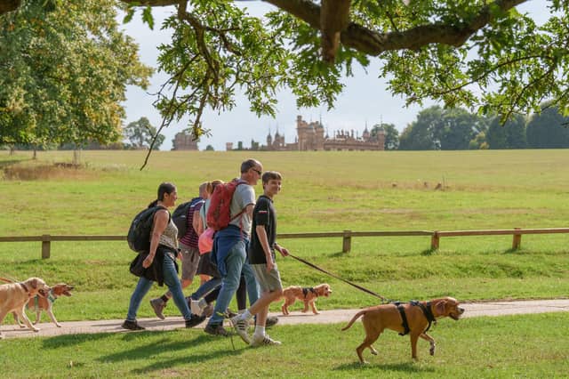 Big Dog Walk at DogFest