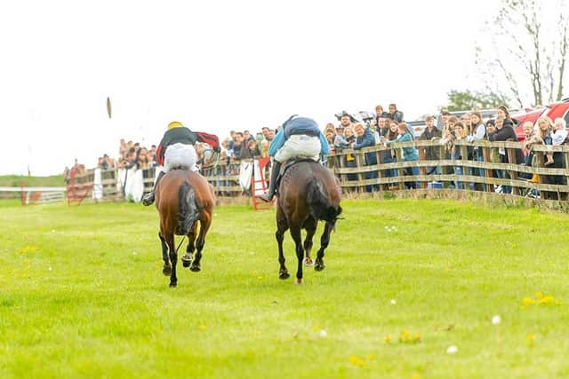 A tight finish at last year's Mollington meeting. Picture: www.chasdog.com