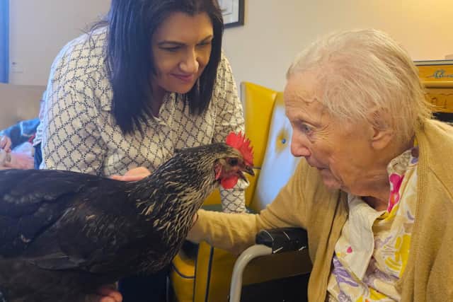 Doris the chicken, with resident Joan, what an enjoyable moment for all