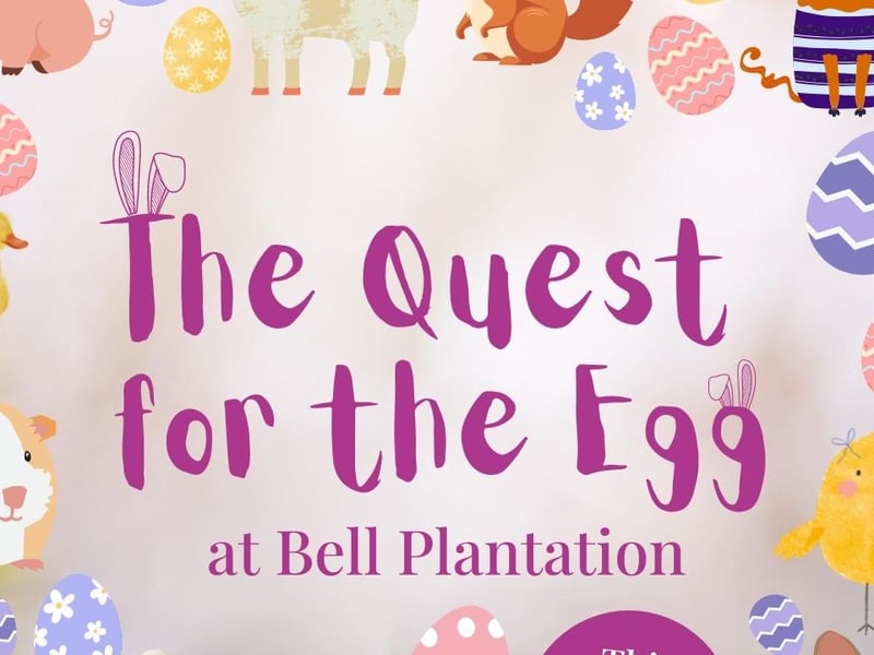 Running from March 29 - April 14, the garden centre has an epic Easter egg trail. Kids can use clues to find animals who are hiding eggs, before finding the ultimate golden egg at the end of the trail and redeeming their sweet treat. The clue sheets can be found at the main entrance. The trail is designed for children aged three to 11.