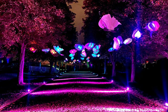 Butterflies flutter-by above a glowing walkway leading further into the gardens.