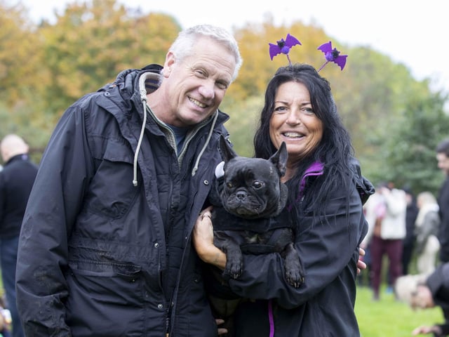 Around 60 French Bulldogs dressed up in spooky costumes for a special walk at Hunsbury Hill Country Park on Sunday (October 29).