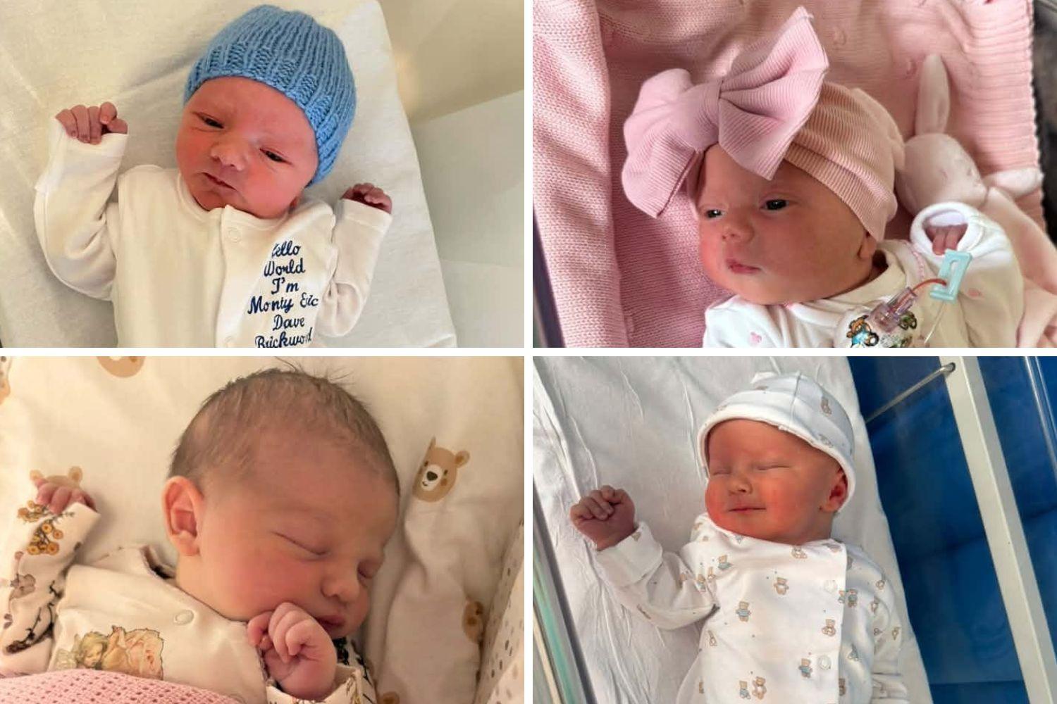 Let’s celebrate the newborns who now call the town their home.