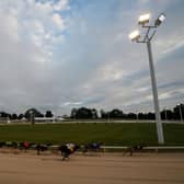 Greyhound racing at Towcester
