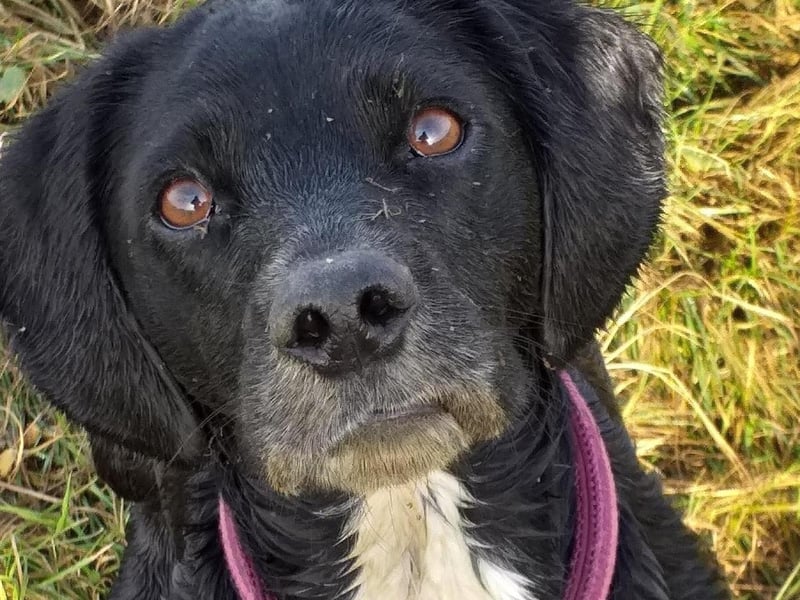 Sophie pictured.